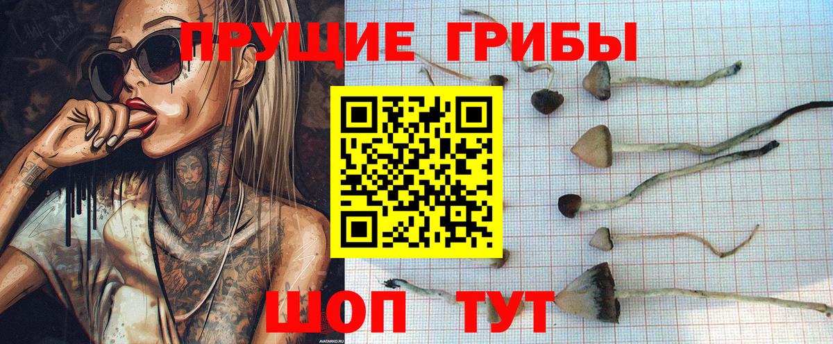Кохма  Галлюциногенные грибы GOLDEN TEACHER  Вход с VPN 